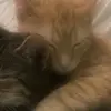 imsosleepyweepyy