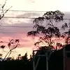 jakelinpereamas
