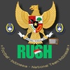 Rush Bola TV