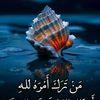 user833876615692