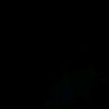 rylan_ped