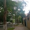 esperancita2549