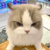 siuuu_405