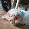 chiki.erli.3