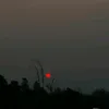 ngu.song02
