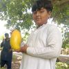 muhammad.yaqub.la