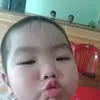 kit.dz8