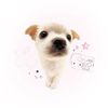 treasure6573
