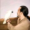 tourab20