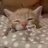 thichhoctoan00_