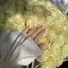 user_leyli