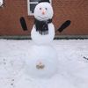 eddie_johansen