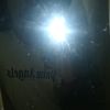frankdavis052