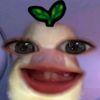fourrfunatte_27