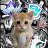 thebestfollowersishere
