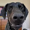 finn.mccool5