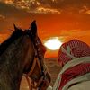 farag7619