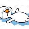 thebestduck12