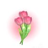 nesyol27_