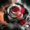 yvonne.buchmller8