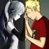 vanerilevy_