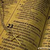 mateusmatos4502