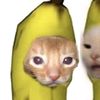 Mieyull