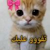 mouataz.matar