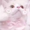 aichankoisuru