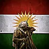 arya.jamil129