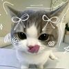 lynn_1yaa