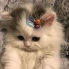 milynzz_z011