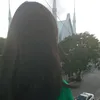 l_inee