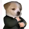 imjack_199777