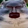 avirvoa