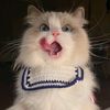thesnowy_0