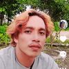 paino borok