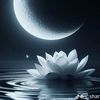 thanhsoe.sossoe