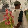 temann_nn