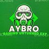 aybro29