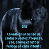 lobita6647
