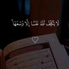 user7613785136245
