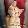 user41443103545065