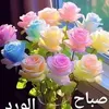 user4333065679596