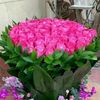 user9683196229543