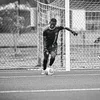 devid.zw