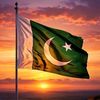 tauseef.khan.tano1