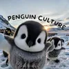 penguin culture