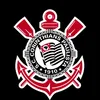 carloseduardosi336si336