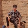 cute.dogar0